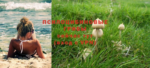 мдма Ельня
