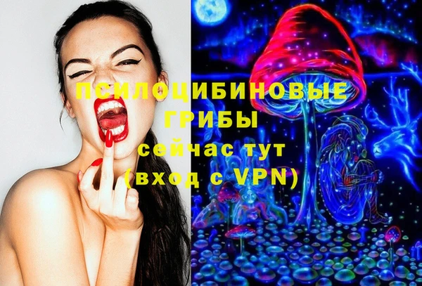 мдма Ельня
