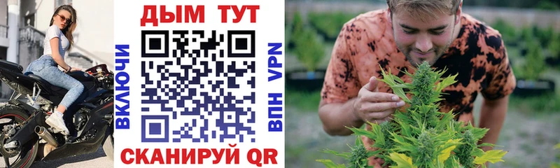 Купить закладки  Калининск  Конопля Bruce Banner 